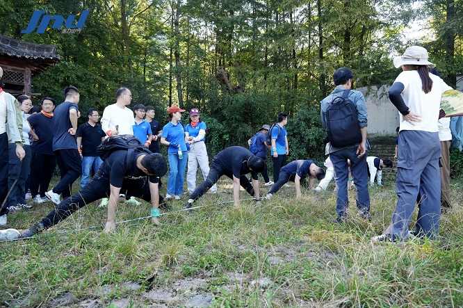 1762236004247558.jpg 29.jpg