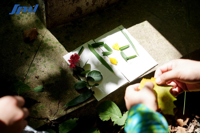 1762236008128421.jpg 30.jpg